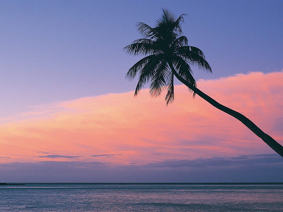 Landscape / Fiji- Beach Sunset Wallpaper - Lock Screen Iphone Wallpaper Hd Beach , HD Wallpaper & Backgrounds