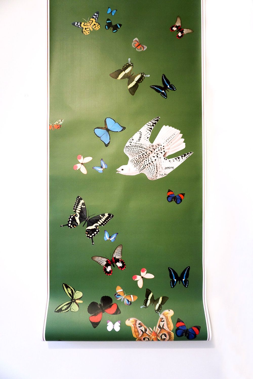 Queen's Flight I Dill - John James Audubon Paintings , HD Wallpaper & Backgrounds