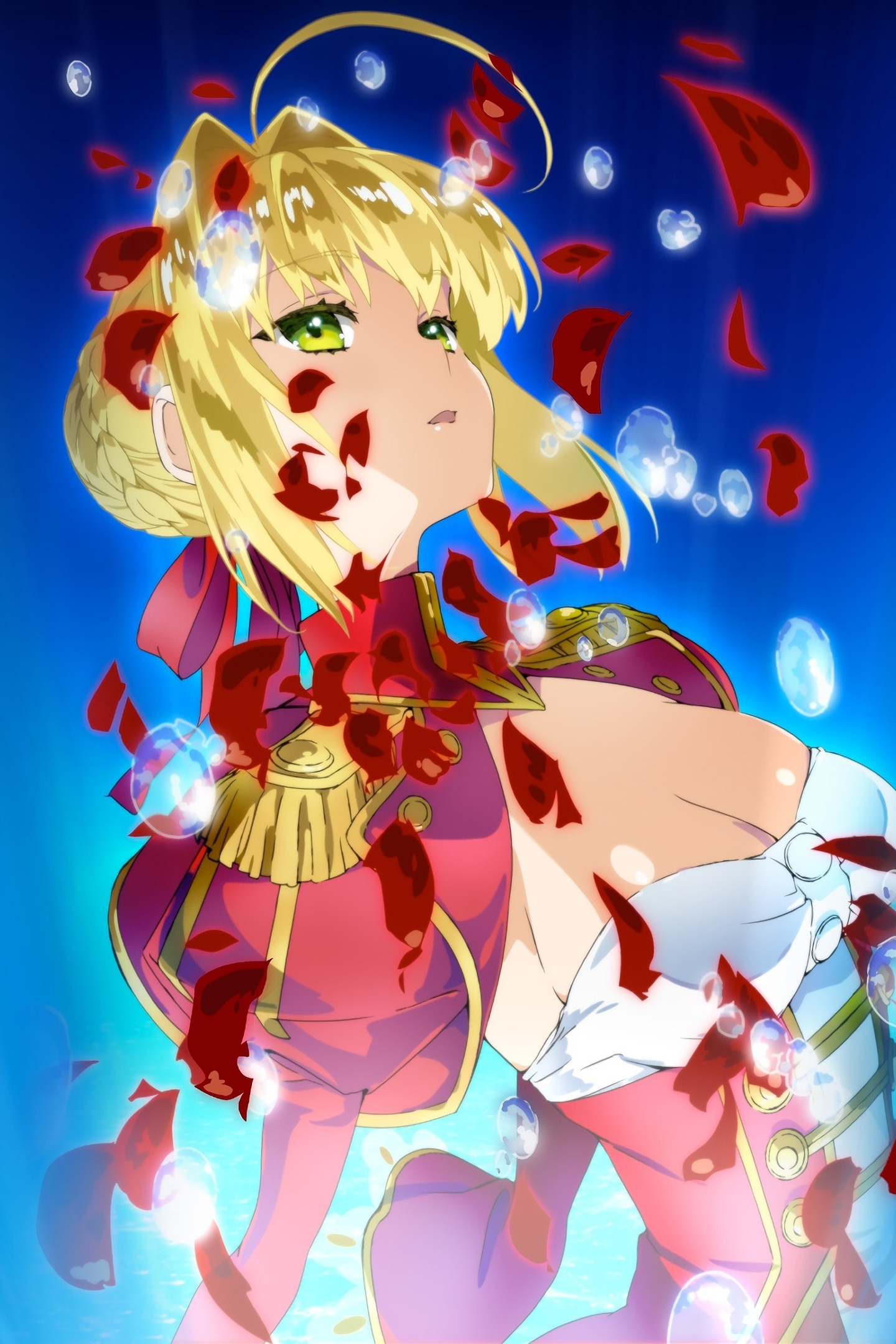 Nero Claudius, Red Saber, Fate/grand Order, Hot Anime - Fate Grand Order Wallpaper Phone , HD Wallpaper & Backgrounds