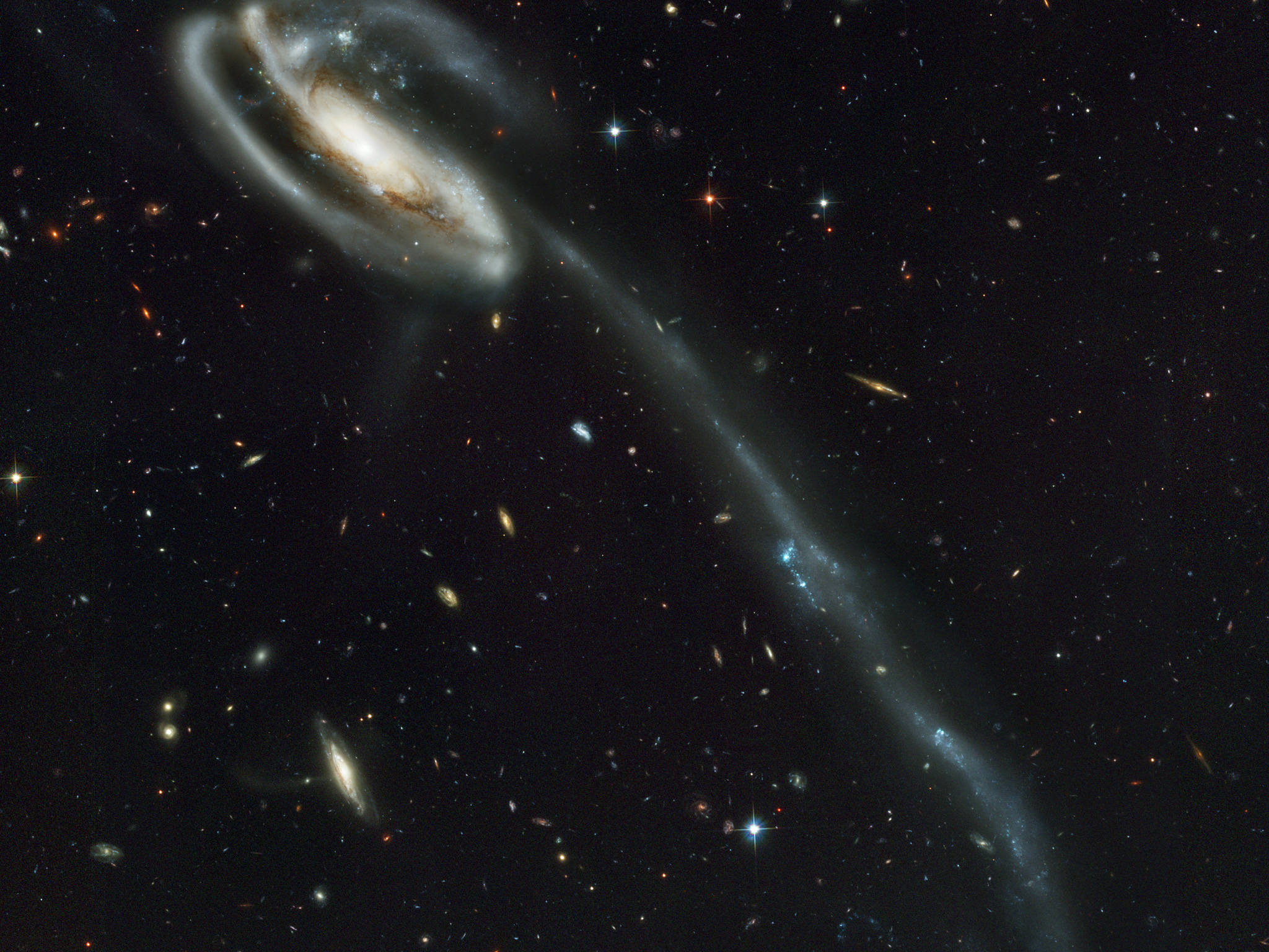 A 'wallpaper' Of Distant Galaxies Is A Stunning Backdrop - Tadpole Galaxy , HD Wallpaper & Backgrounds