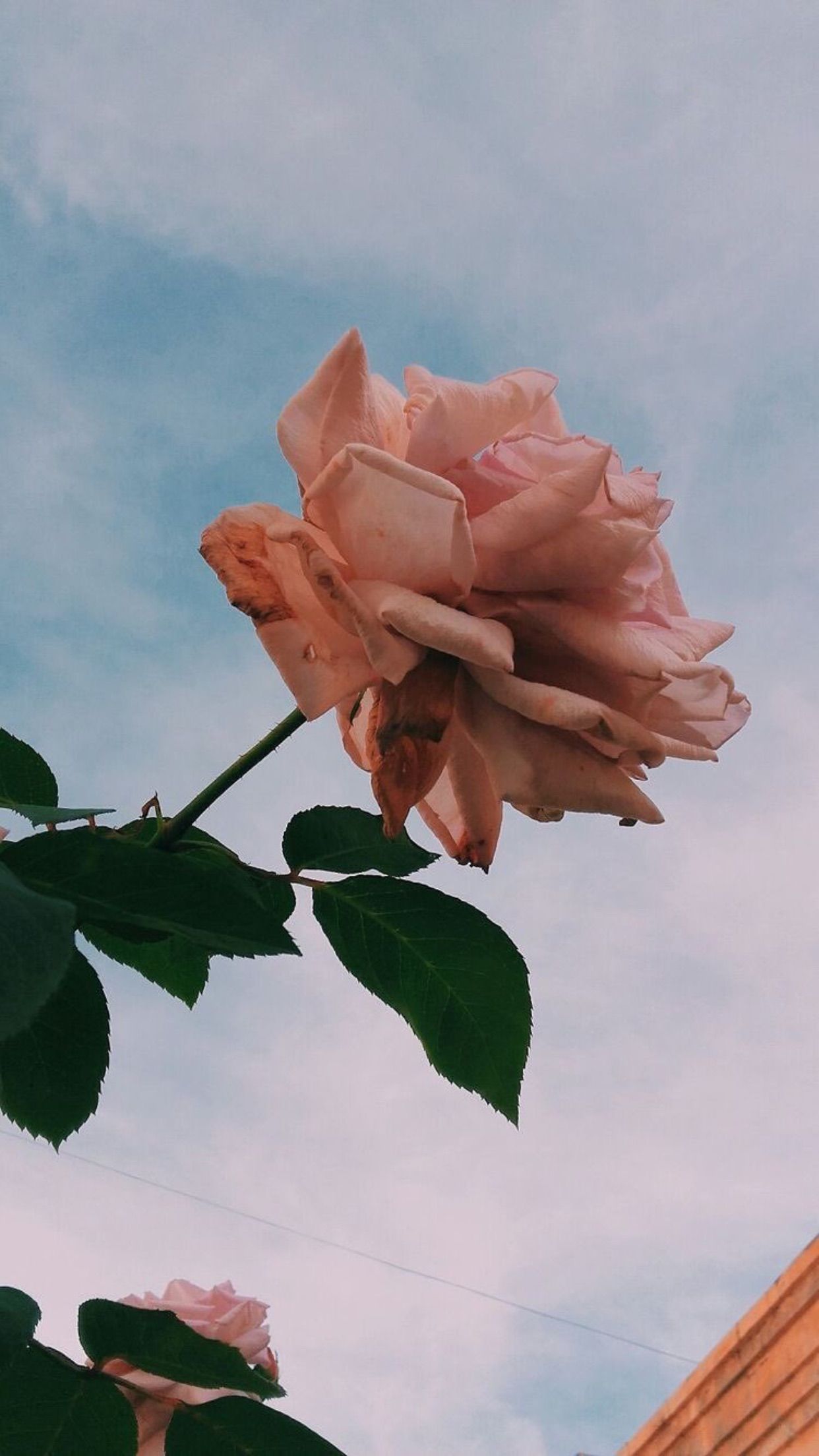 Featured image of post Aesthetic Cute Retro Backgrounds : We have 78+ amazing background pictures carefully picked by our community.