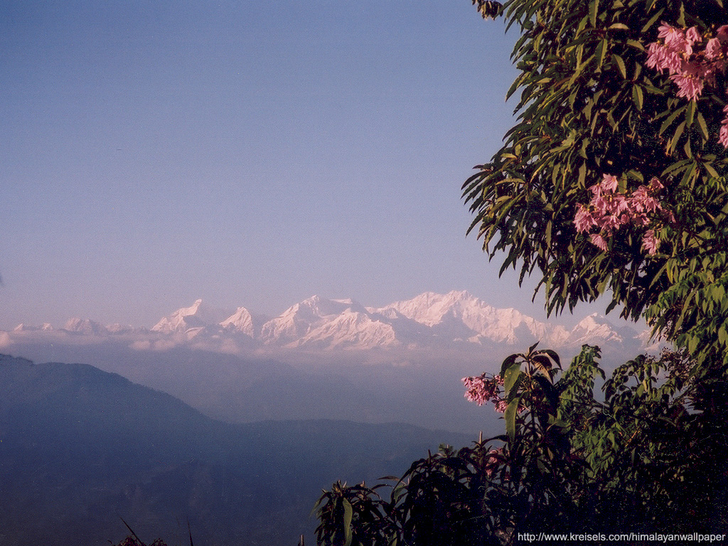 Darjeeling Hd , HD Wallpaper & Backgrounds