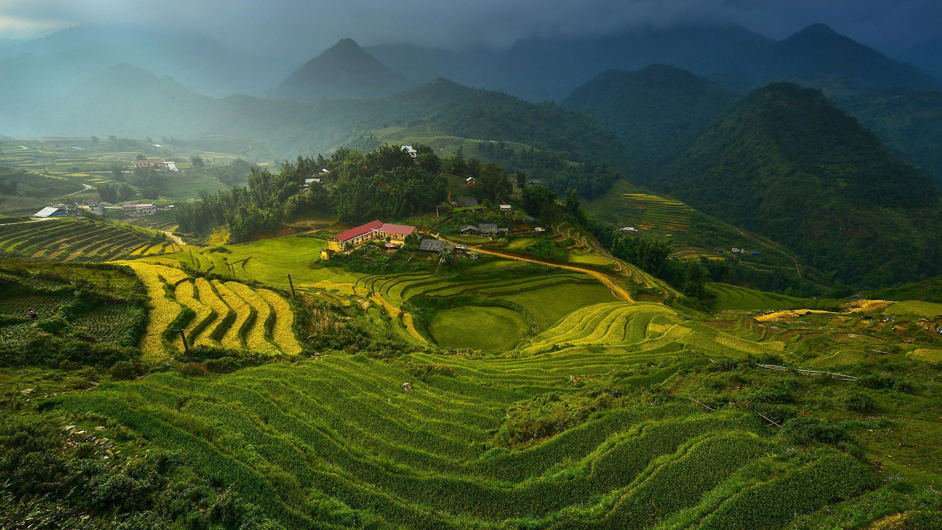 Darjeeling - Rice Terraces , HD Wallpaper & Backgrounds