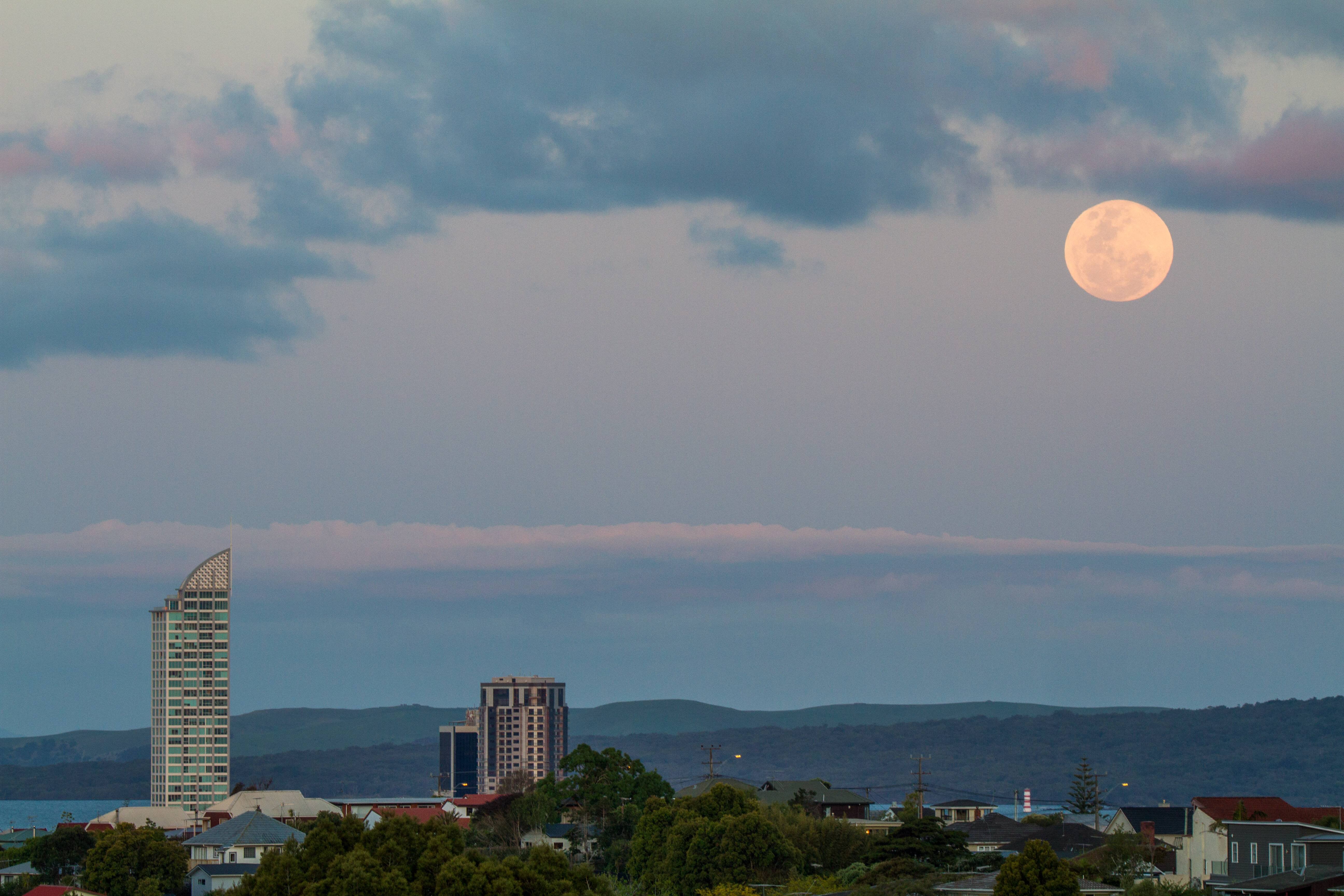 Auckland Did A Good Moonrise Yesterday Wallpaper - Moon , HD Wallpaper & Backgrounds