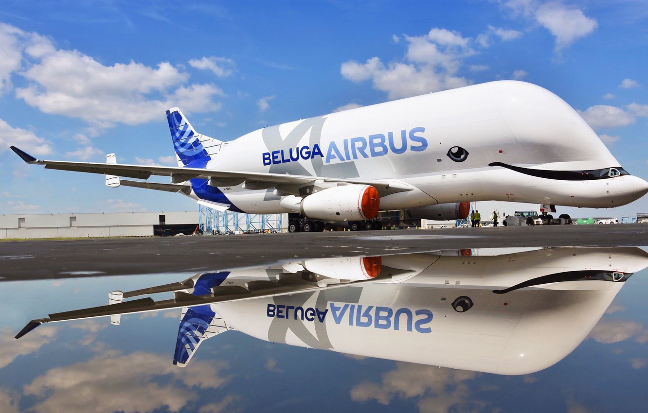 Photo Wallpaper The Plane, Reflection, The Plane, Cargo, - Airbus Beluga Xl , HD Wallpaper & Backgrounds