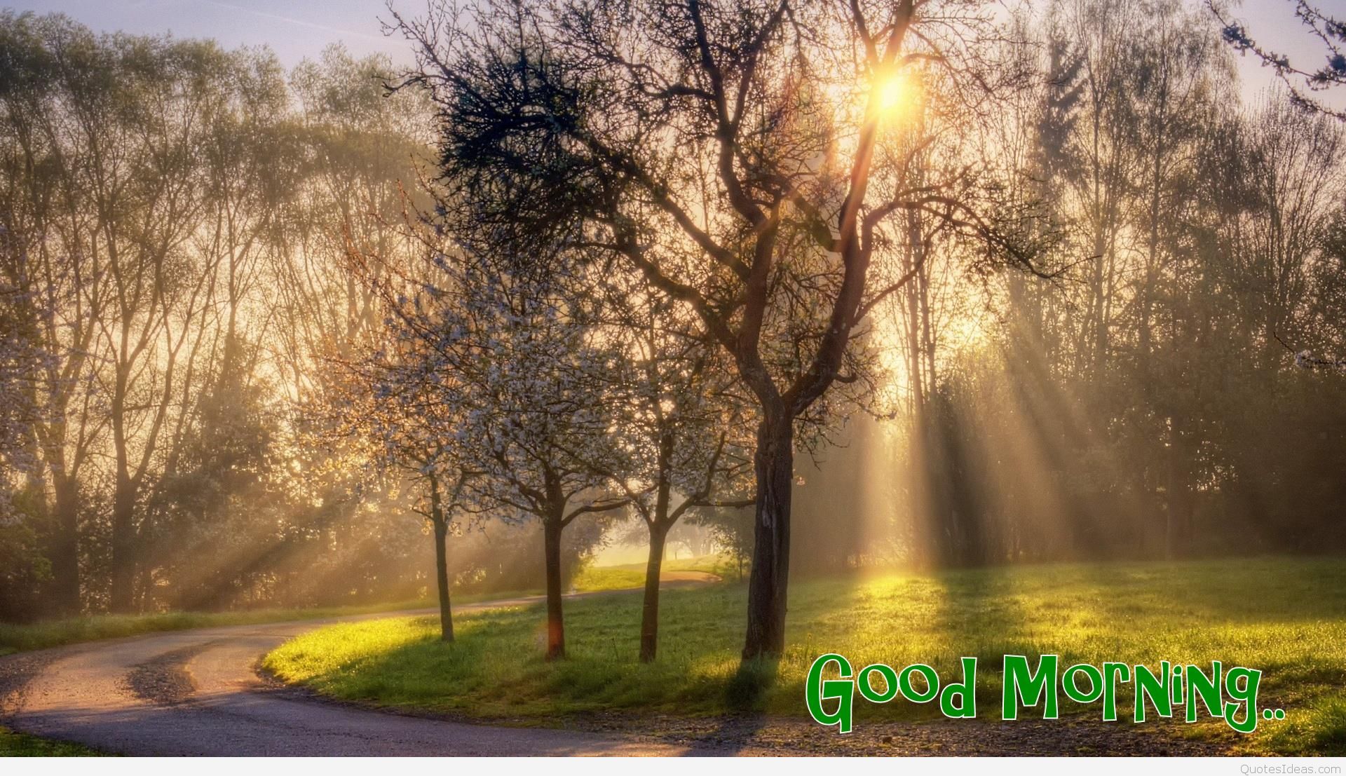 Good Morning 3d Wallpaper Free Download - Good Morning Images Nature Hd , HD Wallpaper & Backgrounds