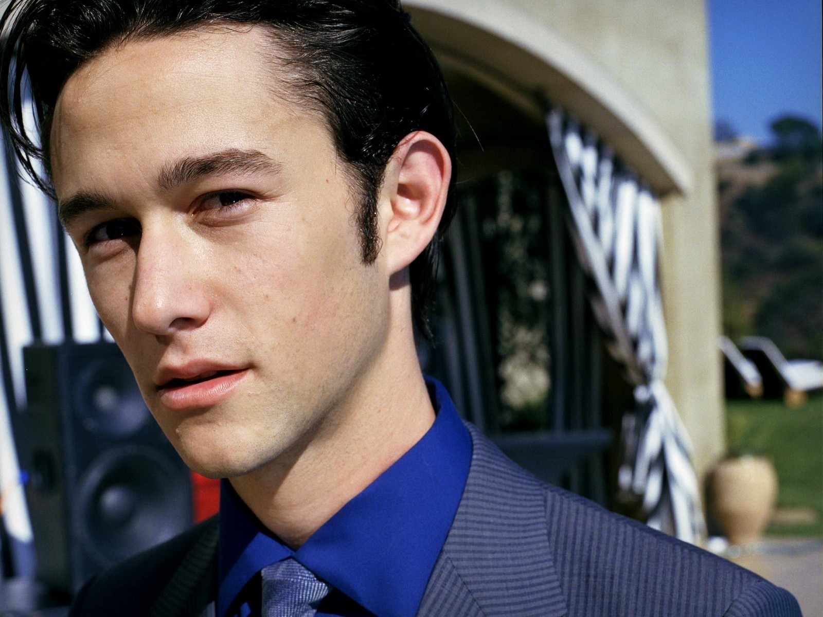 Joseph Gordon Levitt, Dark-haired, Look, Actor Wallpaper - Joseph Gordon Levitt , HD Wallpaper & Backgrounds