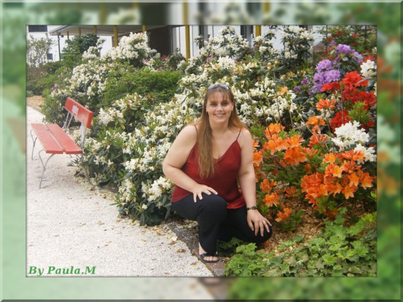 Paula Chaves Machado Paisagem Eugenia Free Desktop - Evergreen Rose , HD Wallpaper & Backgrounds
