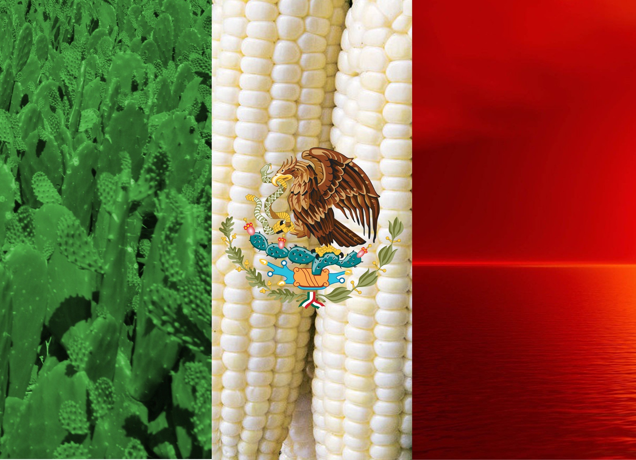 A Proper Mexican Flag Wallpaper - Cool Wallpapers Mexican Flag , HD Wallpaper & Backgrounds