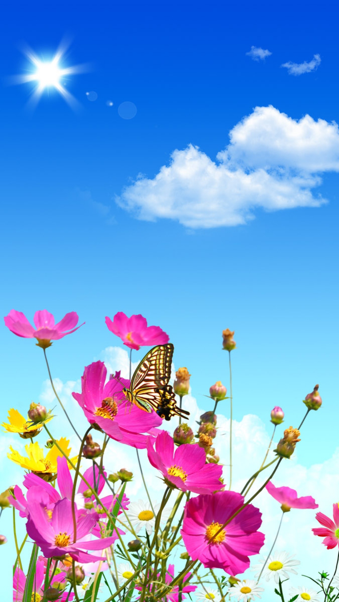 Flowers Sky Butterflies Balloons - Android Wallpapers Hd Flowers , HD Wallpaper & Backgrounds