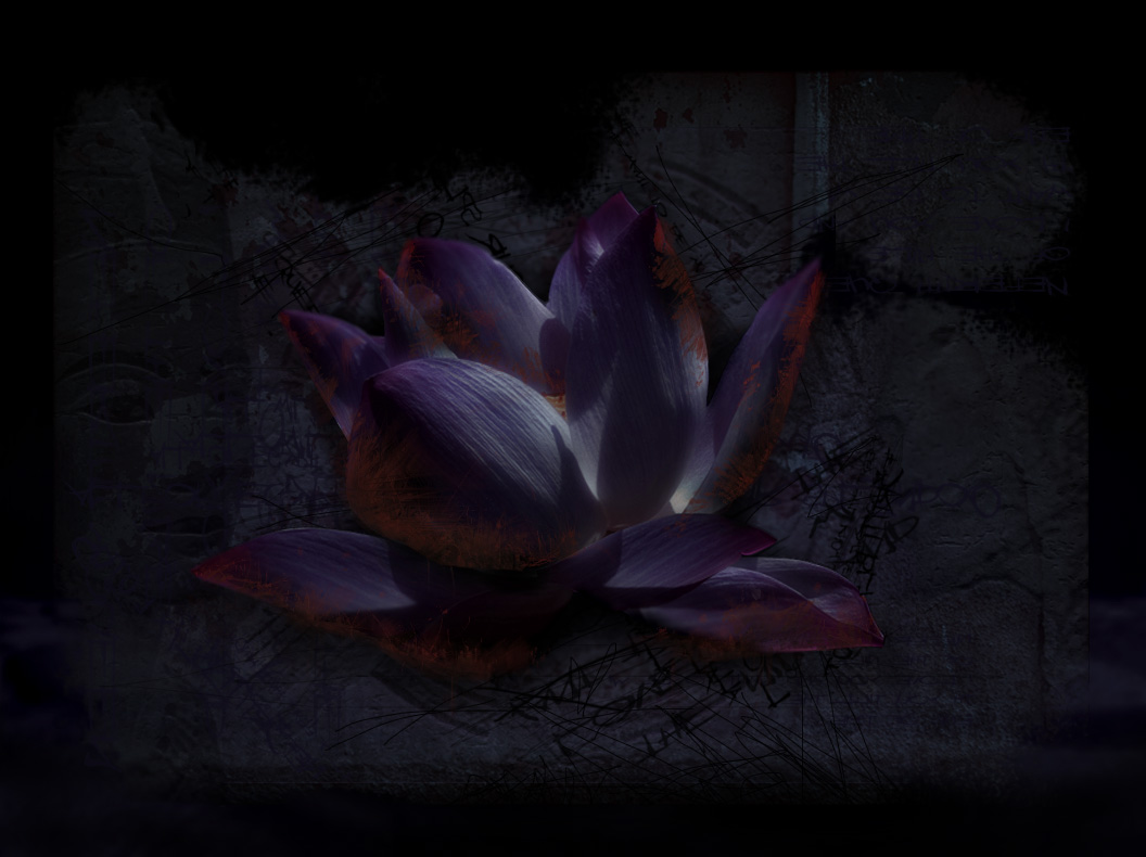 Black Lotus Flower Wallpaper For Android - Black Wallpaper Lotus Flower , HD Wallpaper & Backgrounds