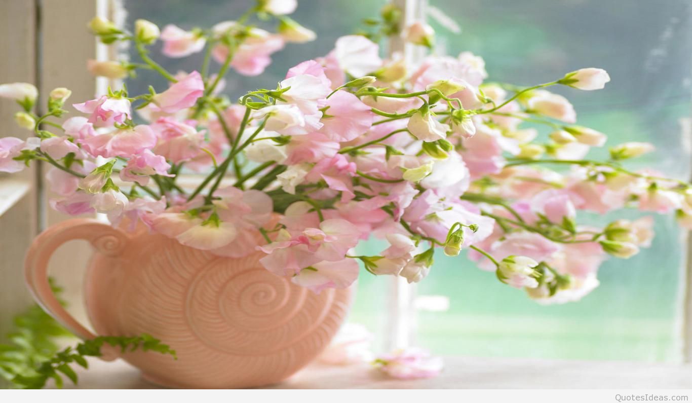 Flowers Vase Window , HD Wallpaper & Backgrounds