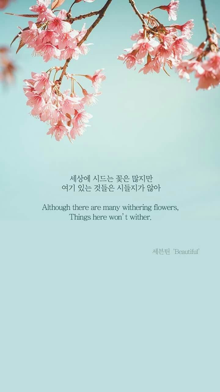 Svt - Seventeen Lyrics Quotes Kpop , HD Wallpaper & Backgrounds