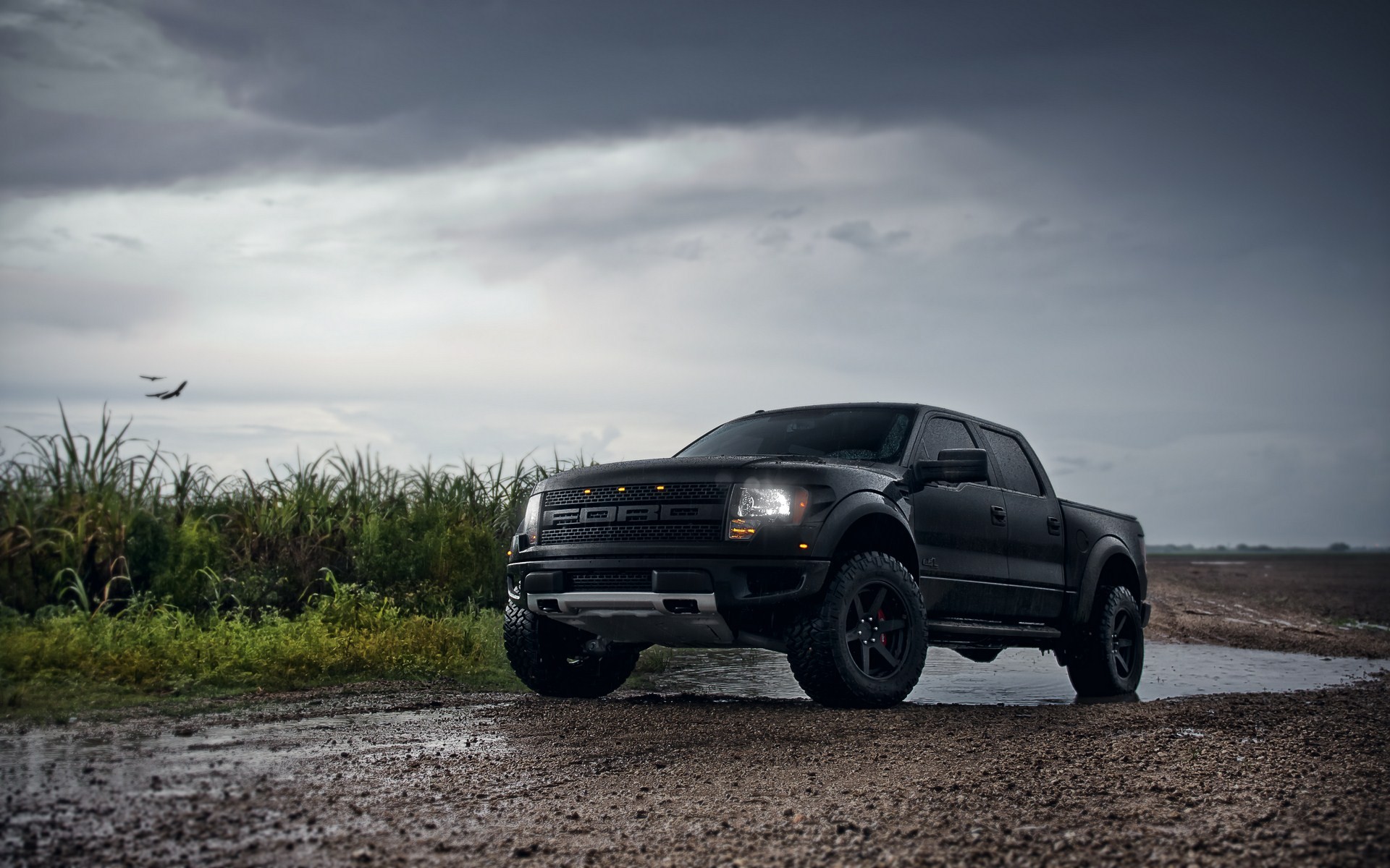 Wallpaper - Ford Raptor Wallpaper Hd , HD Wallpaper & Backgrounds