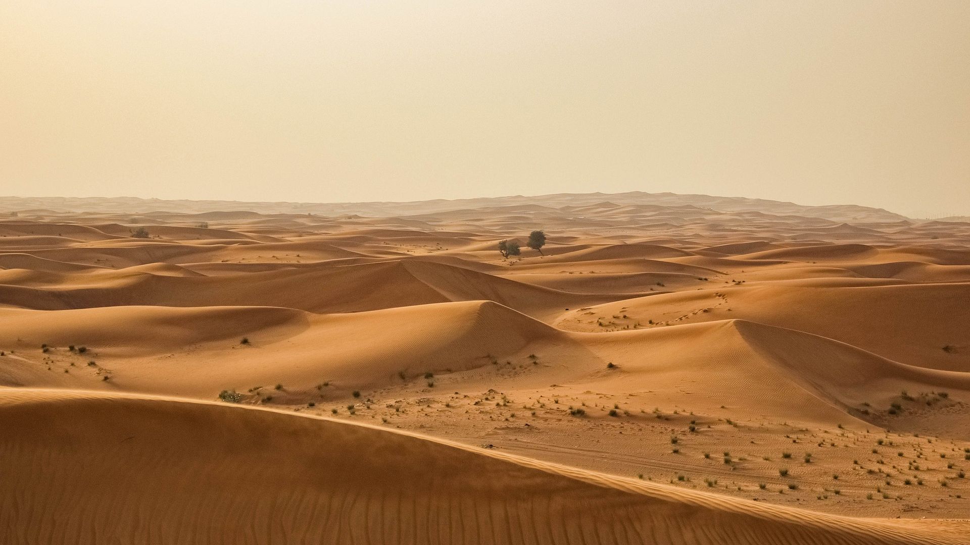 Desert Sand Landscape Hd Wallpaper - African Sand Dune Art Painting - Sand Dunes , HD Wallpaper & Backgrounds