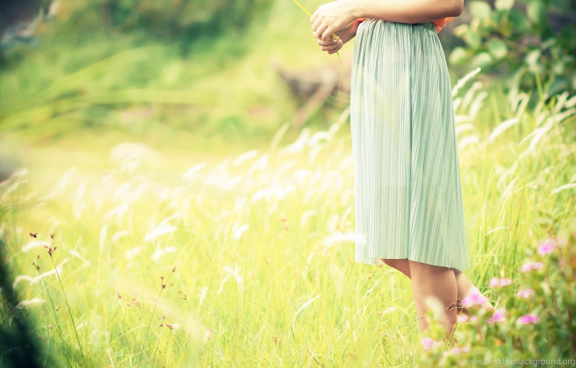 Mood Girl Dress Feet The Field Plant Flower Grass Green - Girl In The Field Of Flowers , HD Wallpaper & Backgrounds