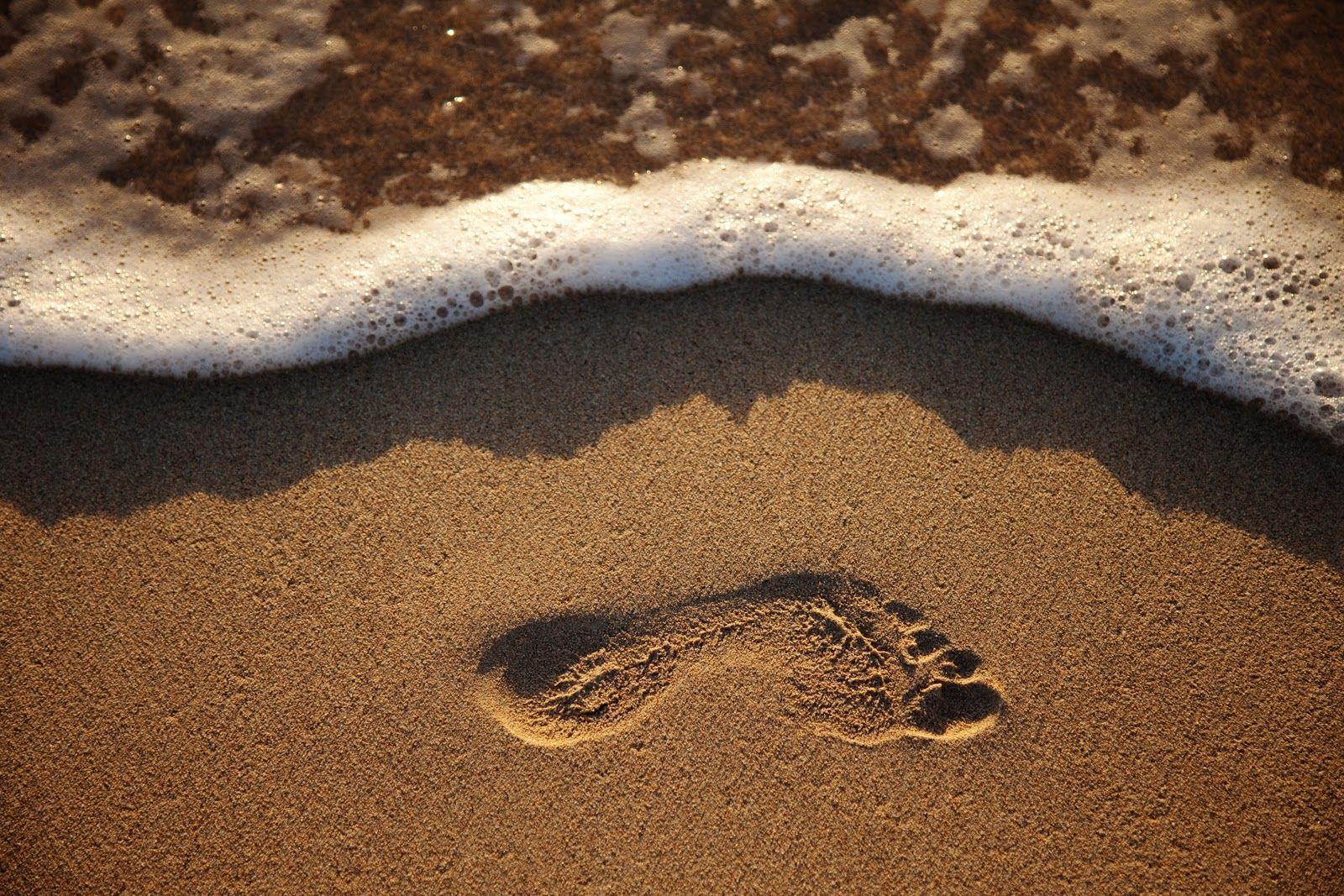Footprint Wallpaper - Footprints In The Sand , HD Wallpaper & Backgrounds