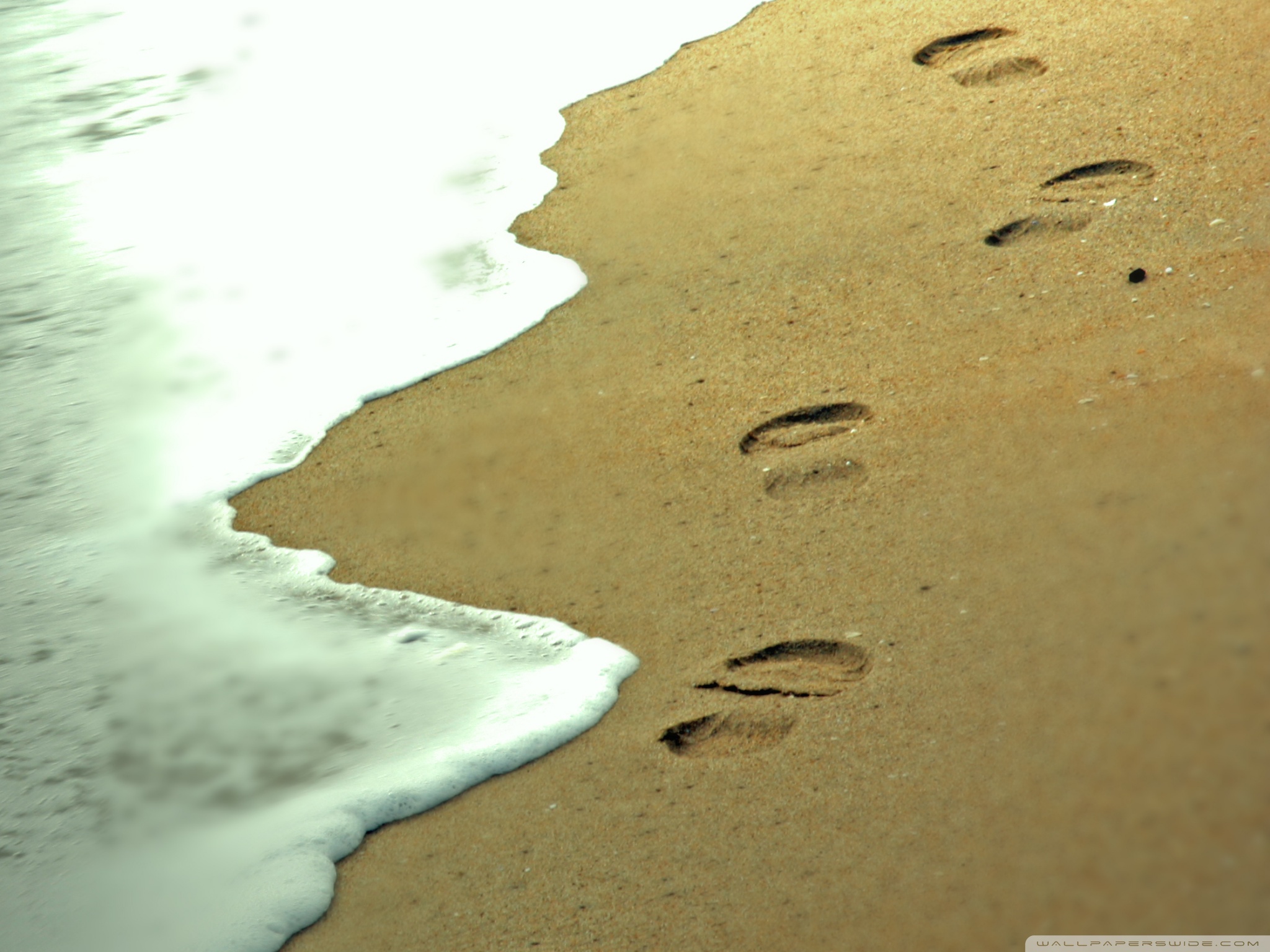 Standard - Footsteps In The Sand X , HD Wallpaper & Backgrounds