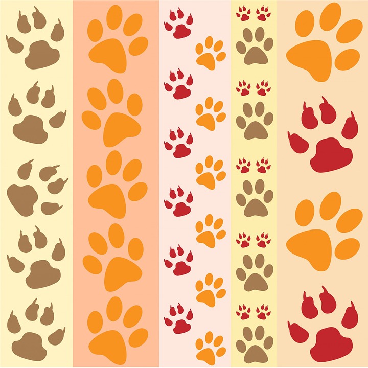 Paw - Animal Paw , HD Wallpaper & Backgrounds