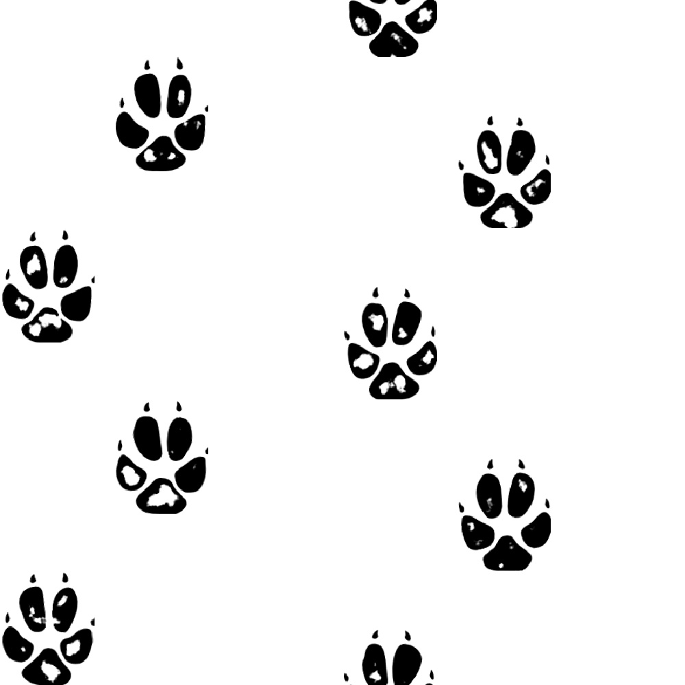 Fox Paw Print - Fox Paw Print Png , HD Wallpaper & Backgrounds