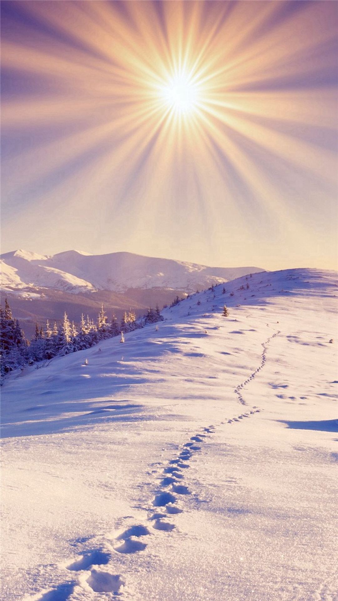 Nature Sunshine Bright Snowy Footprint Field Iphone - Bright Wallpaper Iphone 7 , HD Wallpaper & Backgrounds