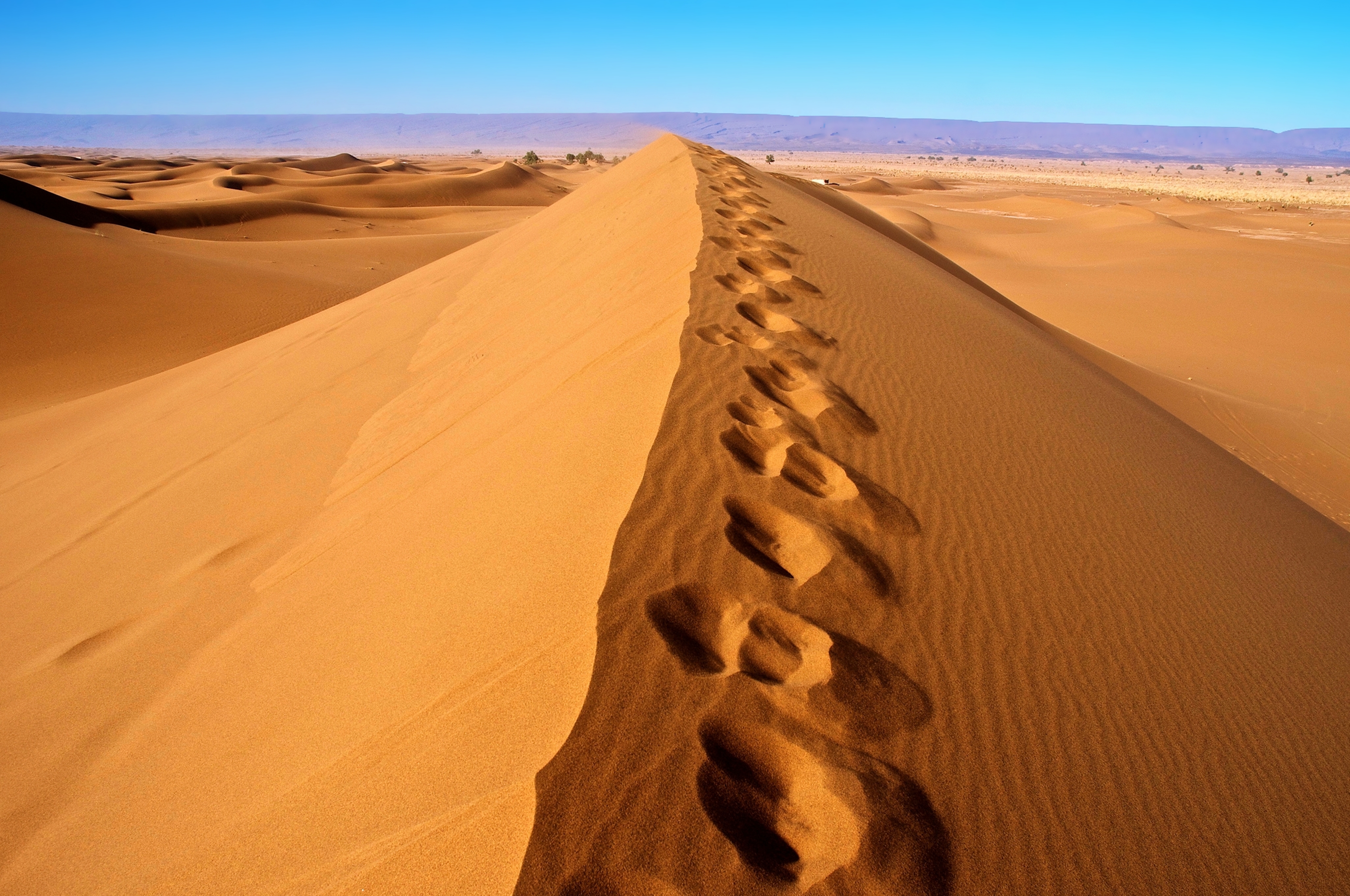 Sand Footprint - Algeria - Desert Footprint , HD Wallpaper & Backgrounds