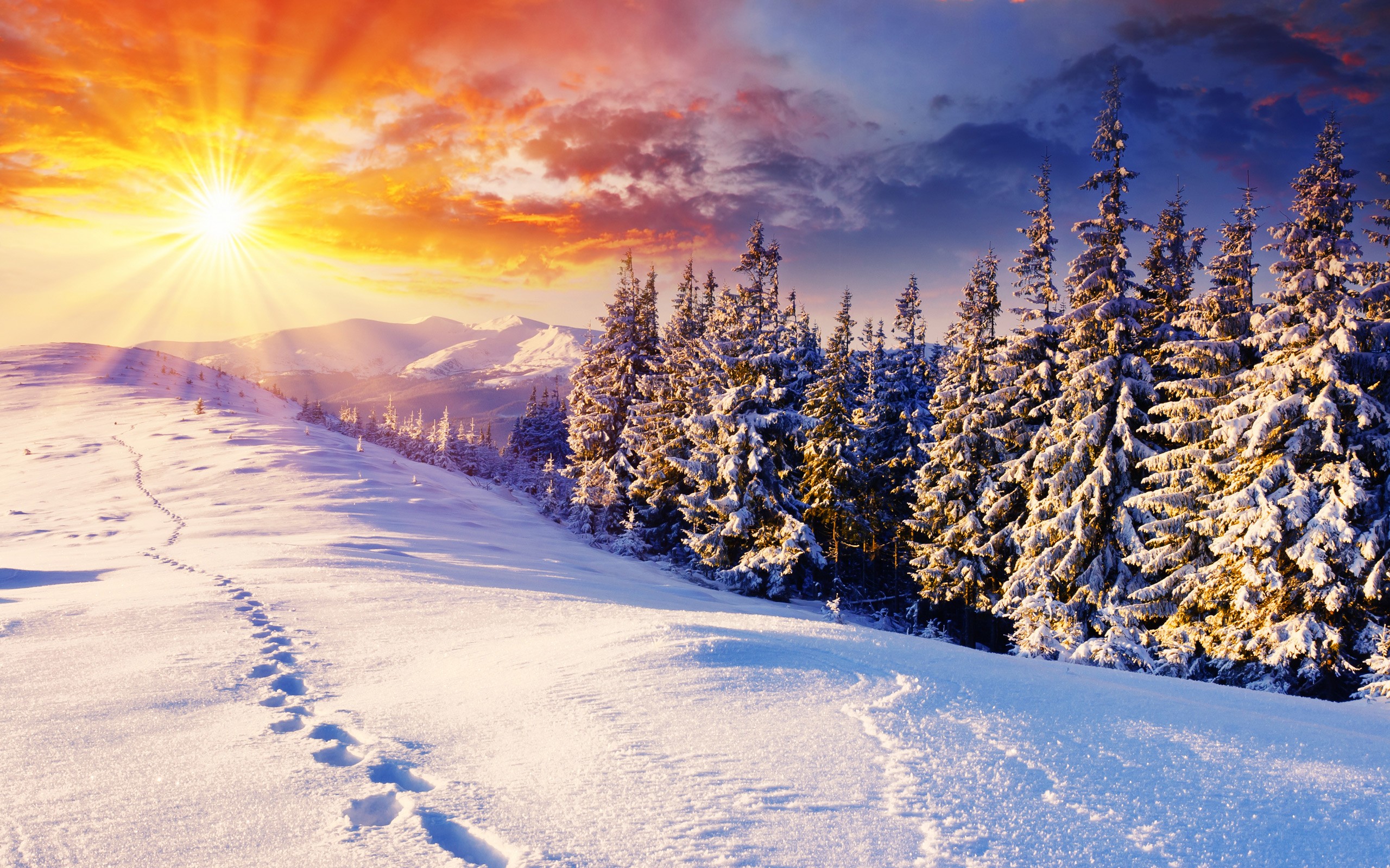 Wallpaper - Sun In The Snow , HD Wallpaper & Backgrounds