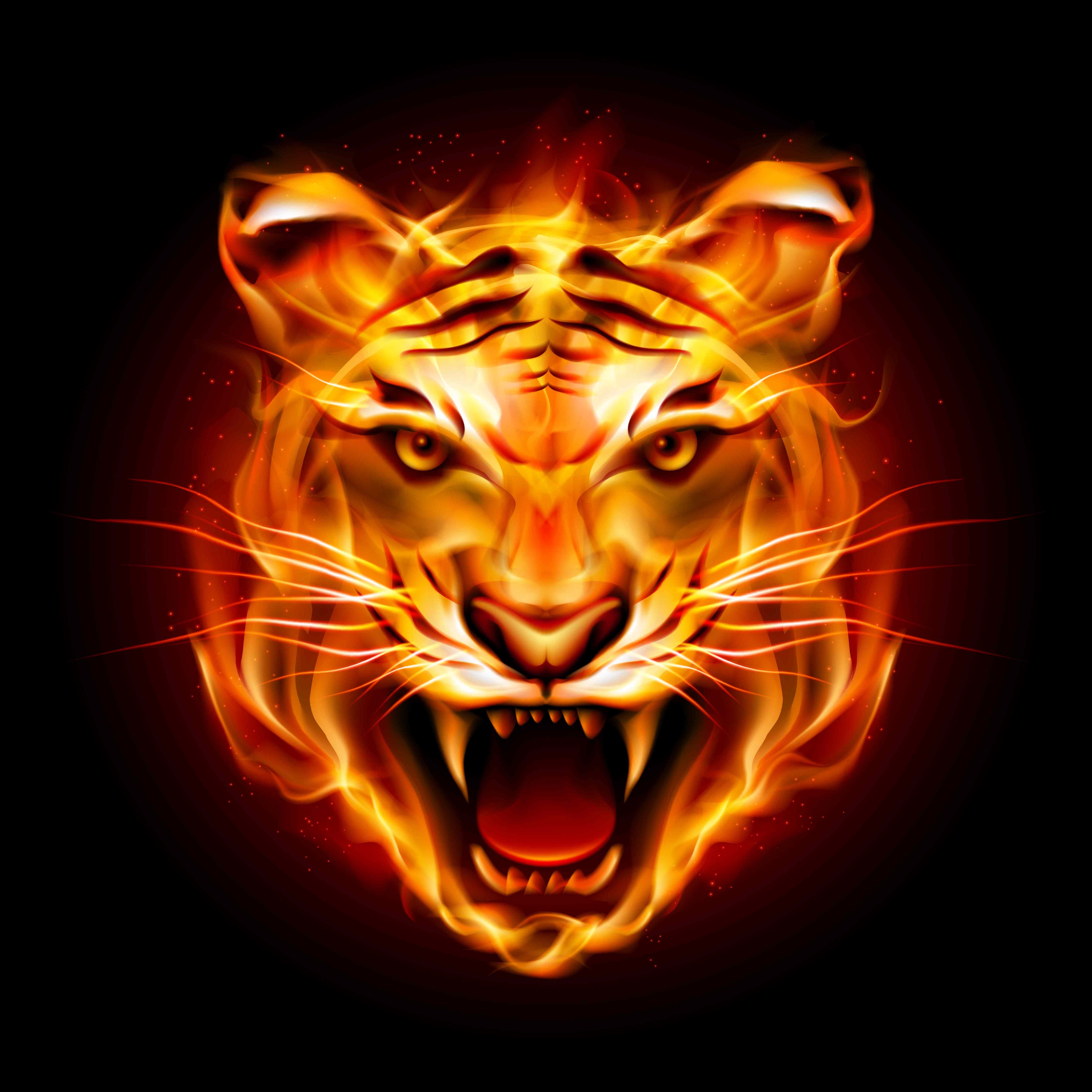 Tiger Wallpaper - Tiger Avatar , HD Wallpaper & Backgrounds