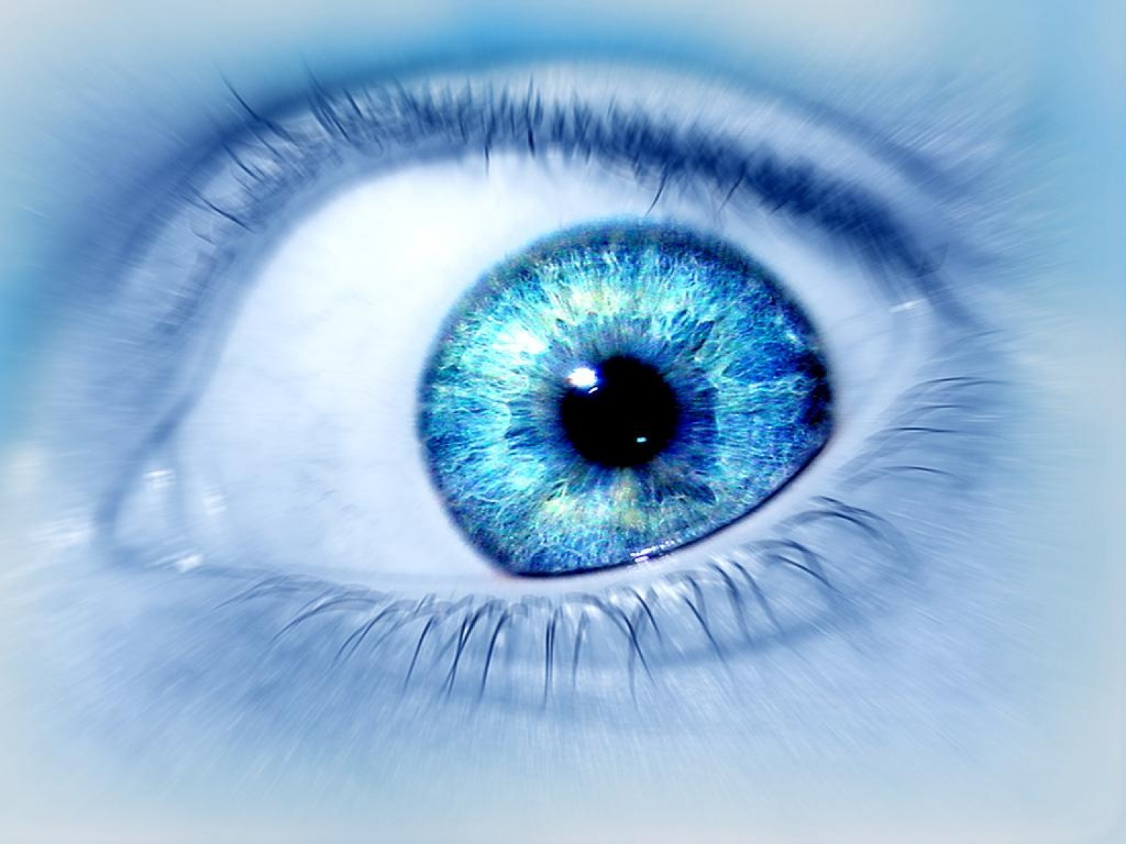 These Are Pictures Of Hd Eyes Wallpaper You Can Download - Blue Eyes Hd 4k , HD Wallpaper & Backgrounds
