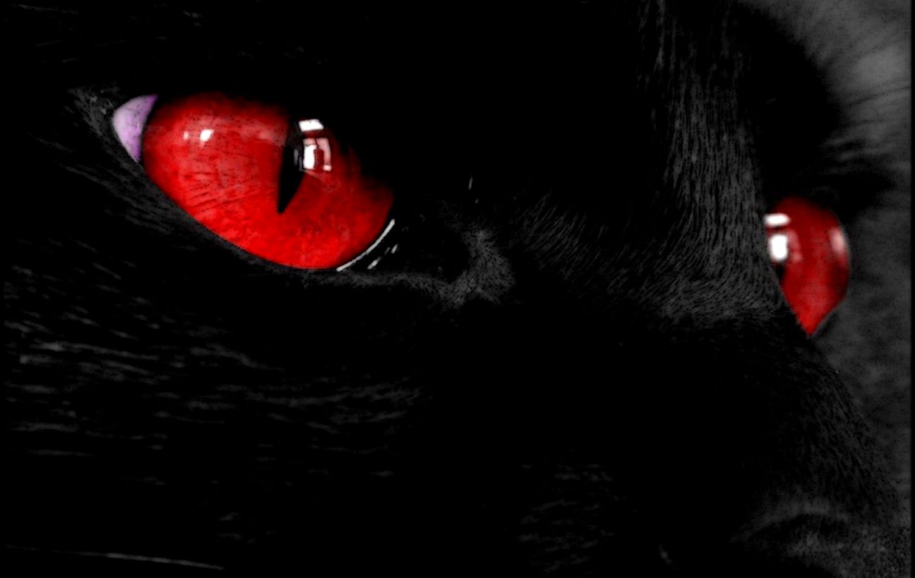 Red Eye Wallpaper In Hd Daily Health - Red And Black Cat , HD Wallpaper & Backgrounds