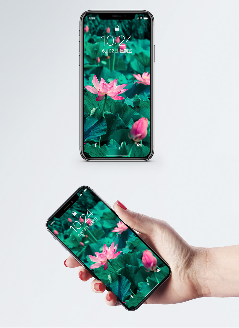 Beautiful Lotus Cell Phone Wallpaper - Обои На Телефон Любовь Пары , HD Wallpaper & Backgrounds
