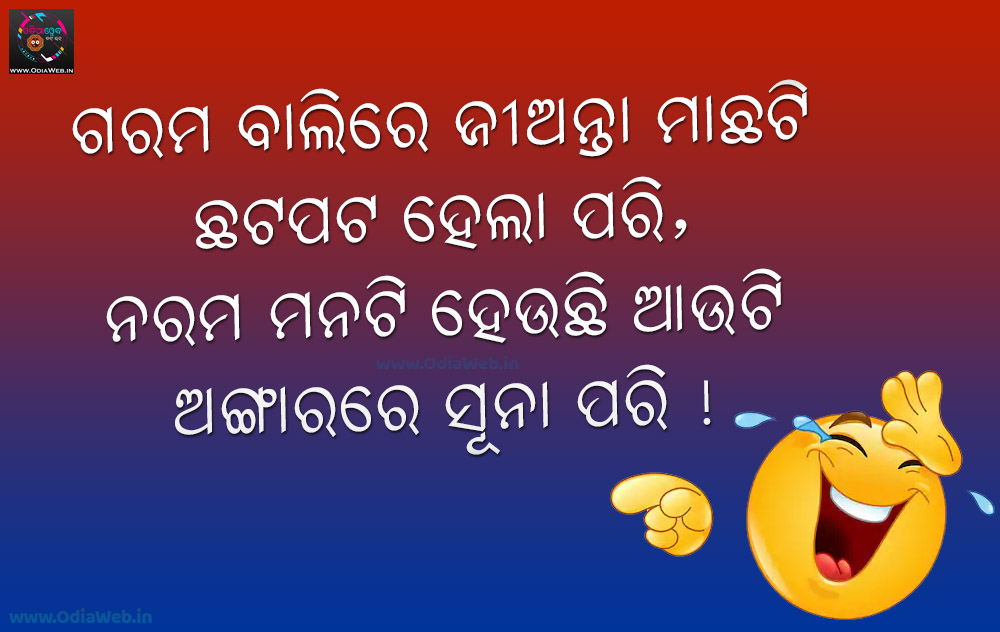 Top 5 Best Odia Comedy Shayari - Odia Shayari , HD Wallpaper & Backgrounds