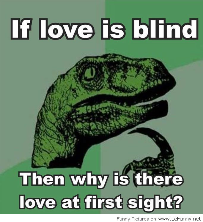 Funny Questions Funny Pictures - Love Is Blind Funny , HD Wallpaper & Backgrounds