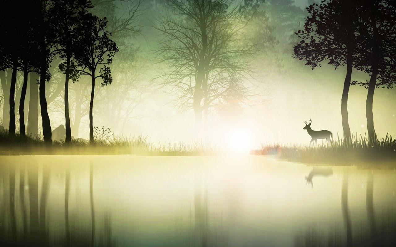 Particle - Deer Mist , HD Wallpaper & Backgrounds