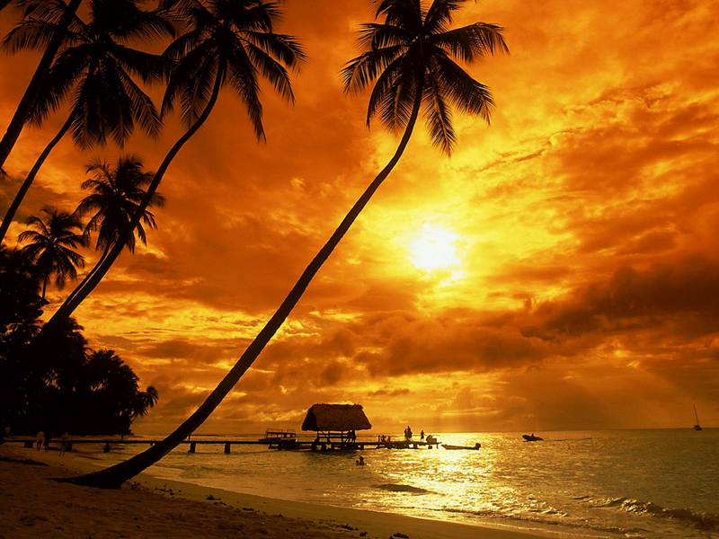 Tropical Sunset , HD Wallpaper & Backgrounds