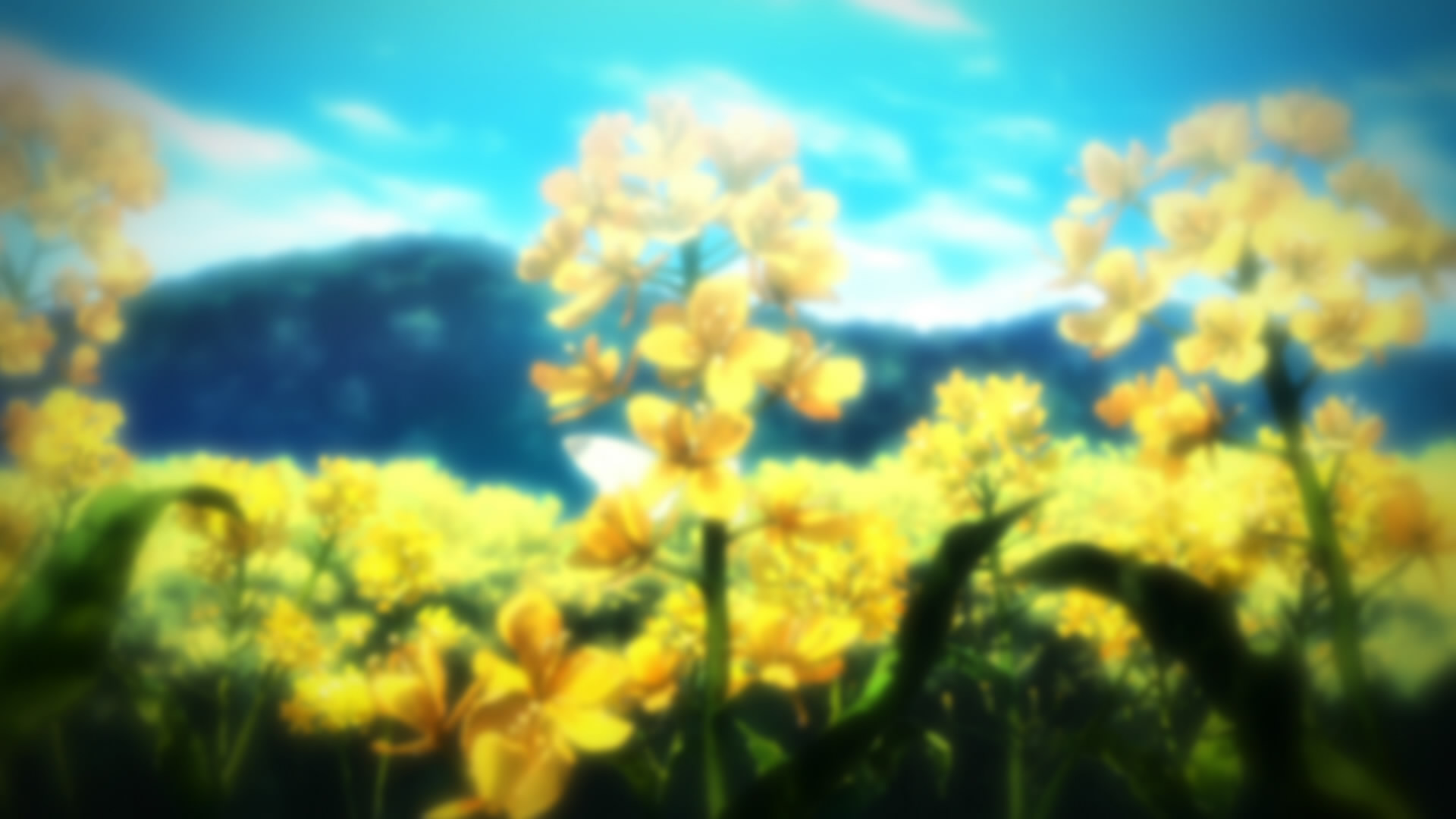 Clannad After Story Wallpaper - Clannad Background , HD Wallpaper & Backgrounds