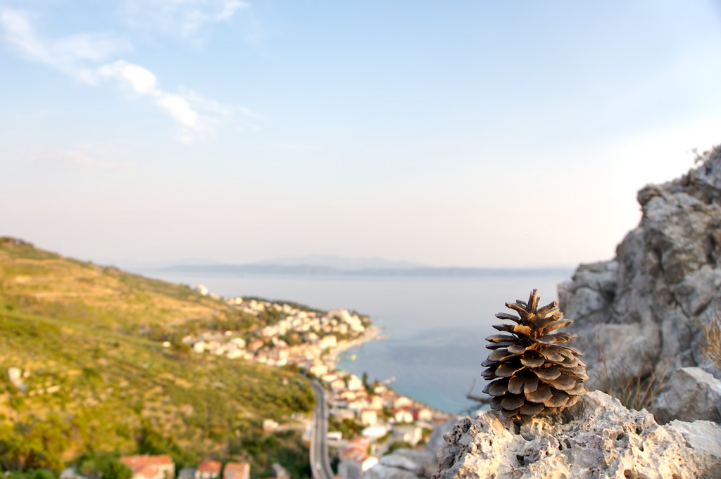 Pinecone On Top Of The Mountain Tags - Sea , HD Wallpaper & Backgrounds