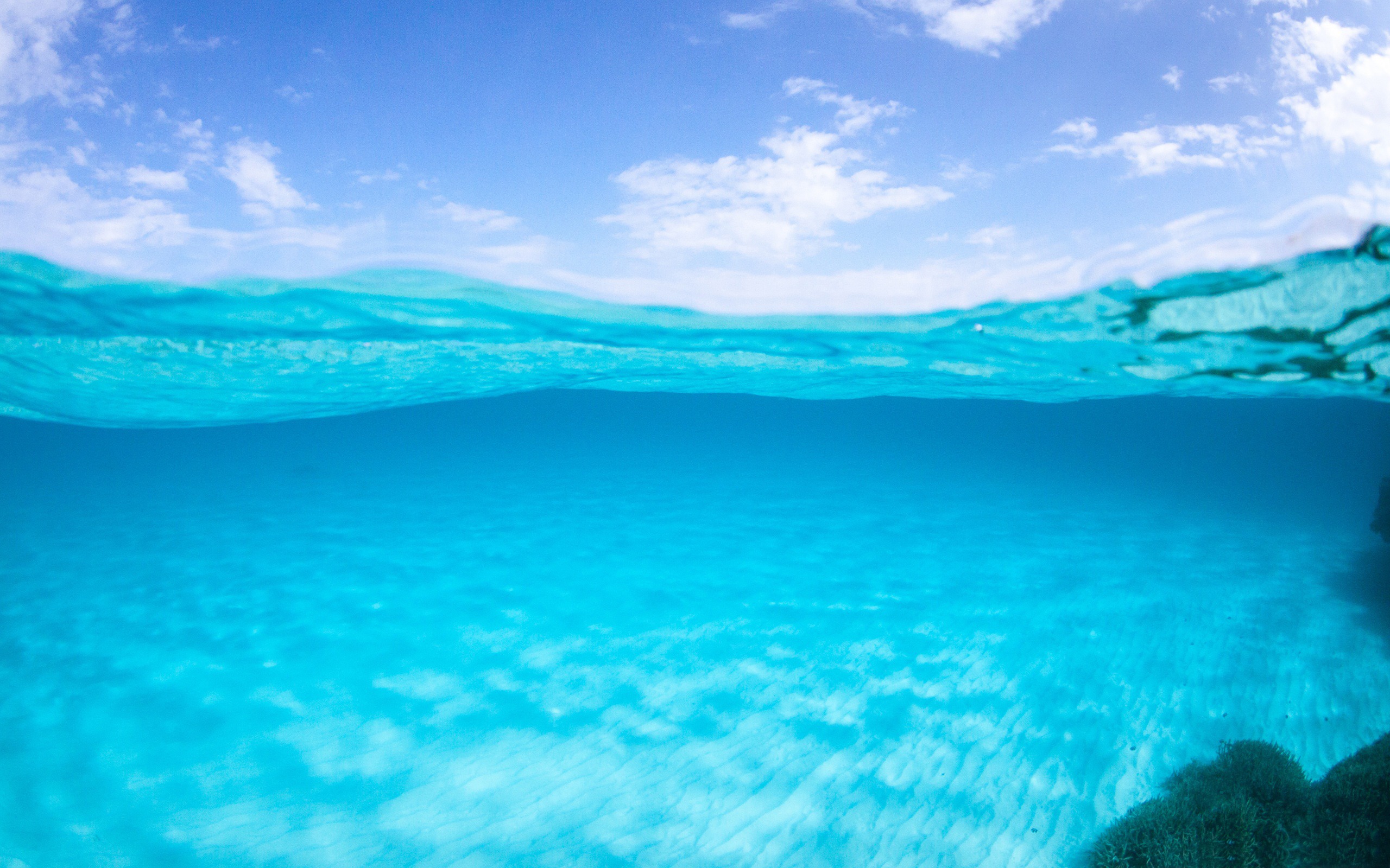 Original Resolution - - Half Underwater Half Above , HD Wallpaper & Backgrounds