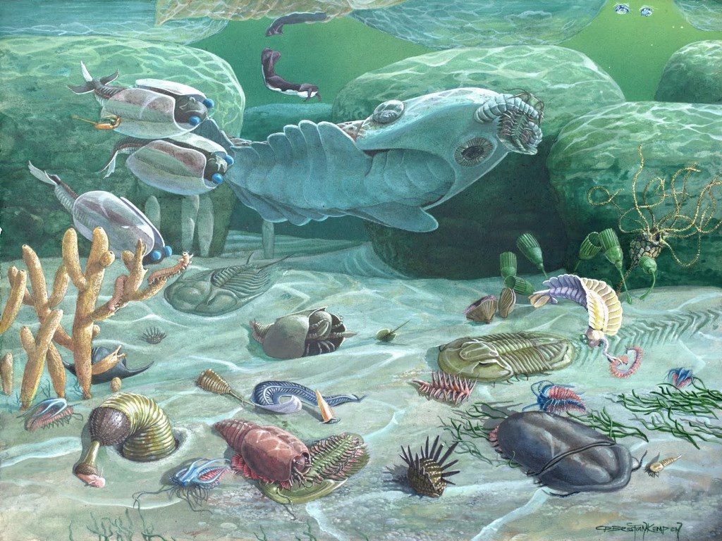 Biologia Do Envolvimento - Cambrian Period , HD Wallpaper & Backgrounds