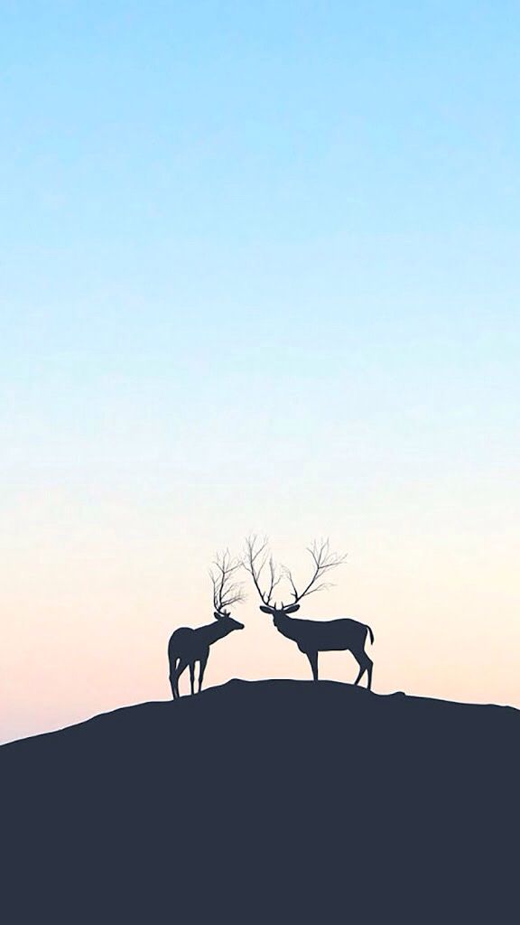 Iphone Wallpaper Silhouette Animals Cervo Lockscreen - Deer Wallpaper Tumblr Iphone , HD Wallpaper & Backgrounds