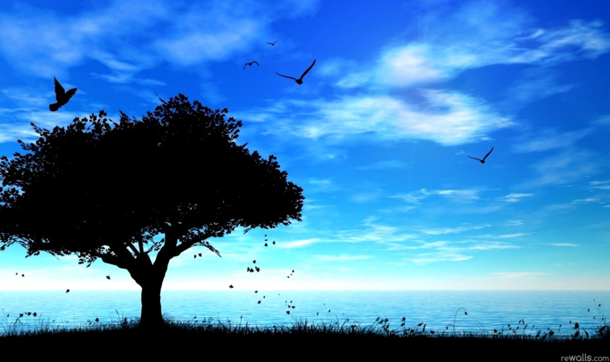 Silhouette Clouds Trees Blue Night Birds Nature - Nature Silhouette , HD Wallpaper & Backgrounds