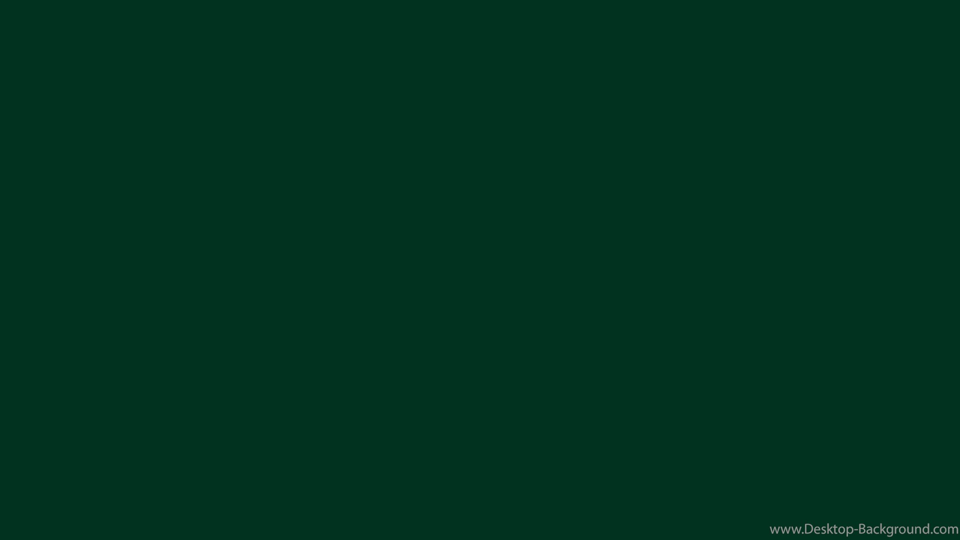 Popular - Plain Dark Green Color , HD Wallpaper & Backgrounds