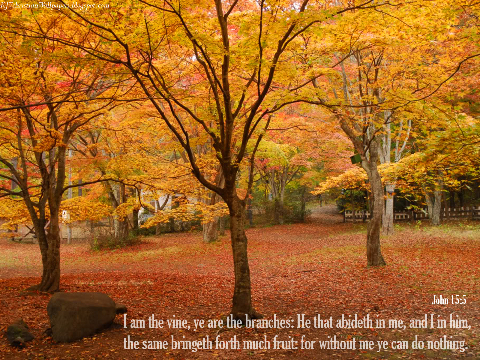 Fall Wallpaper With Scripture Verses - Free Christian Fall , HD Wallpaper & Backgrounds