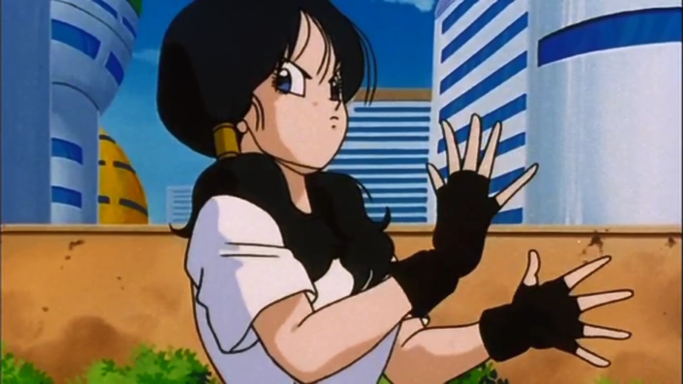 Who The Fuck Needed Saving” - Dragon Ball Z Videl Fighting , HD Wallpaper & Backgrounds