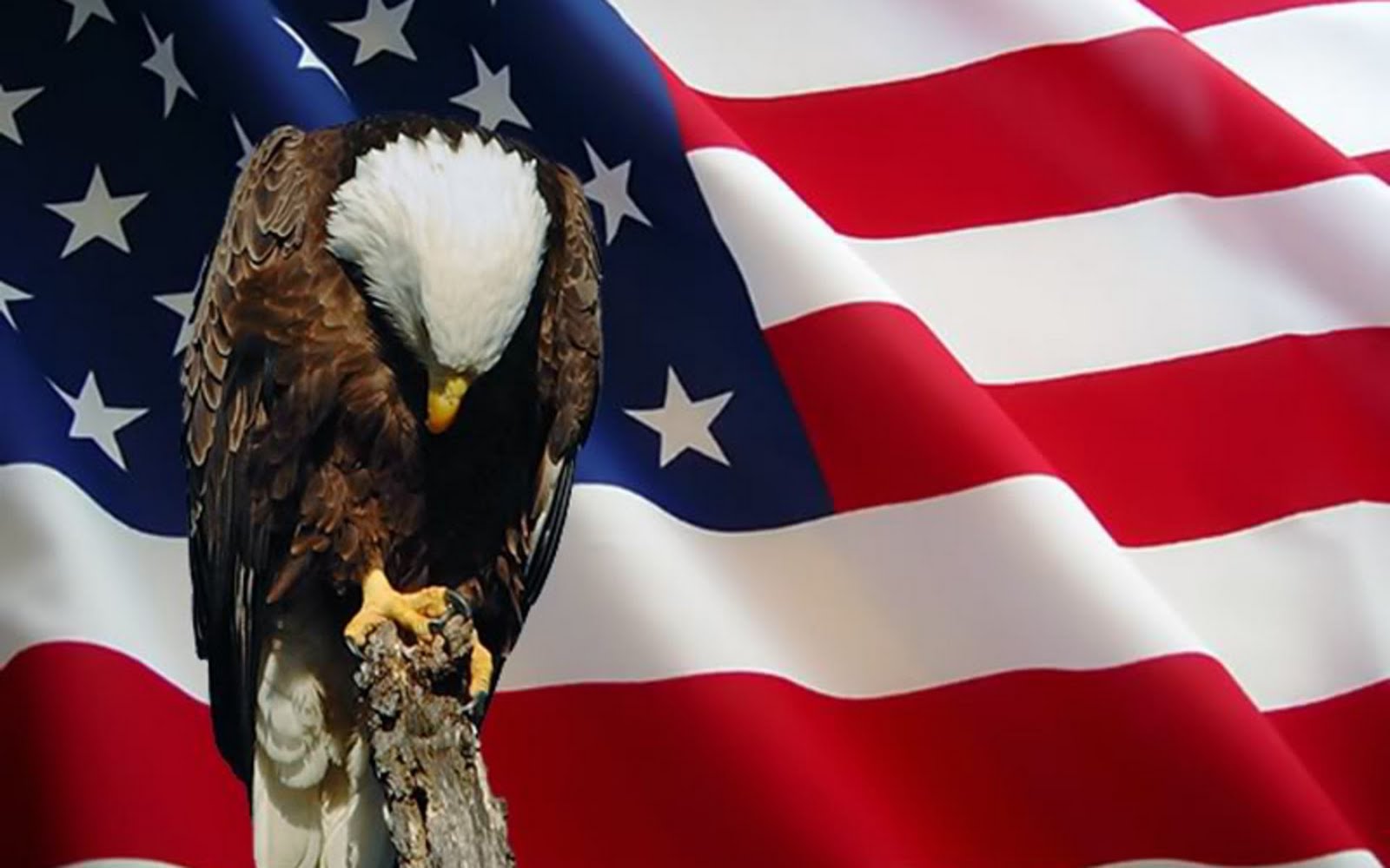 Memorial Day - Cool Memorial Day , HD Wallpaper & Backgrounds