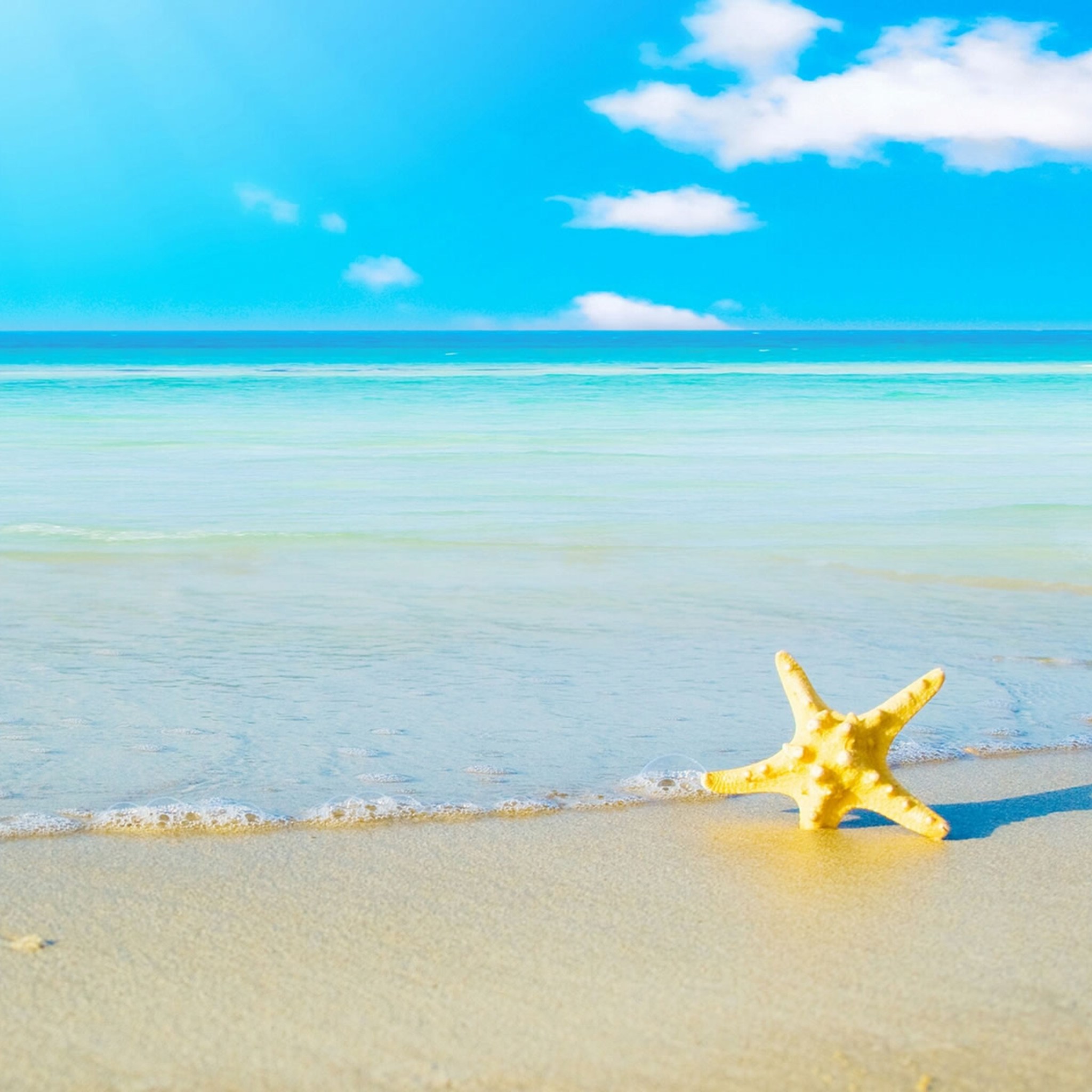 Ipad Retina Hd Wallpaper Beach And A Starfish - Summer Background , HD Wallpaper & Backgrounds