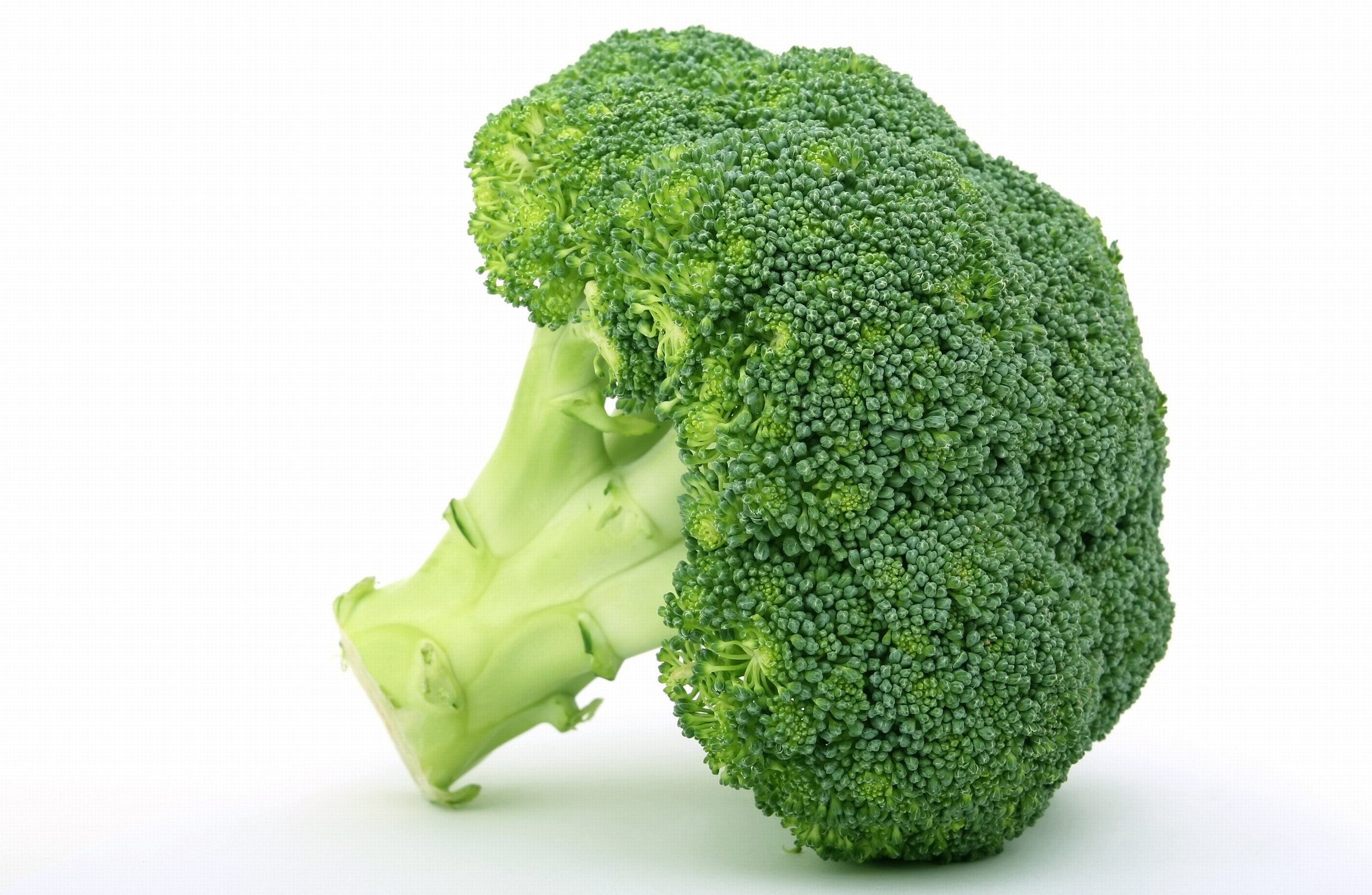 Best Full Hd Broccoli Wallpaper Free Download - Broccoli Free , HD Wallpaper & Backgrounds
