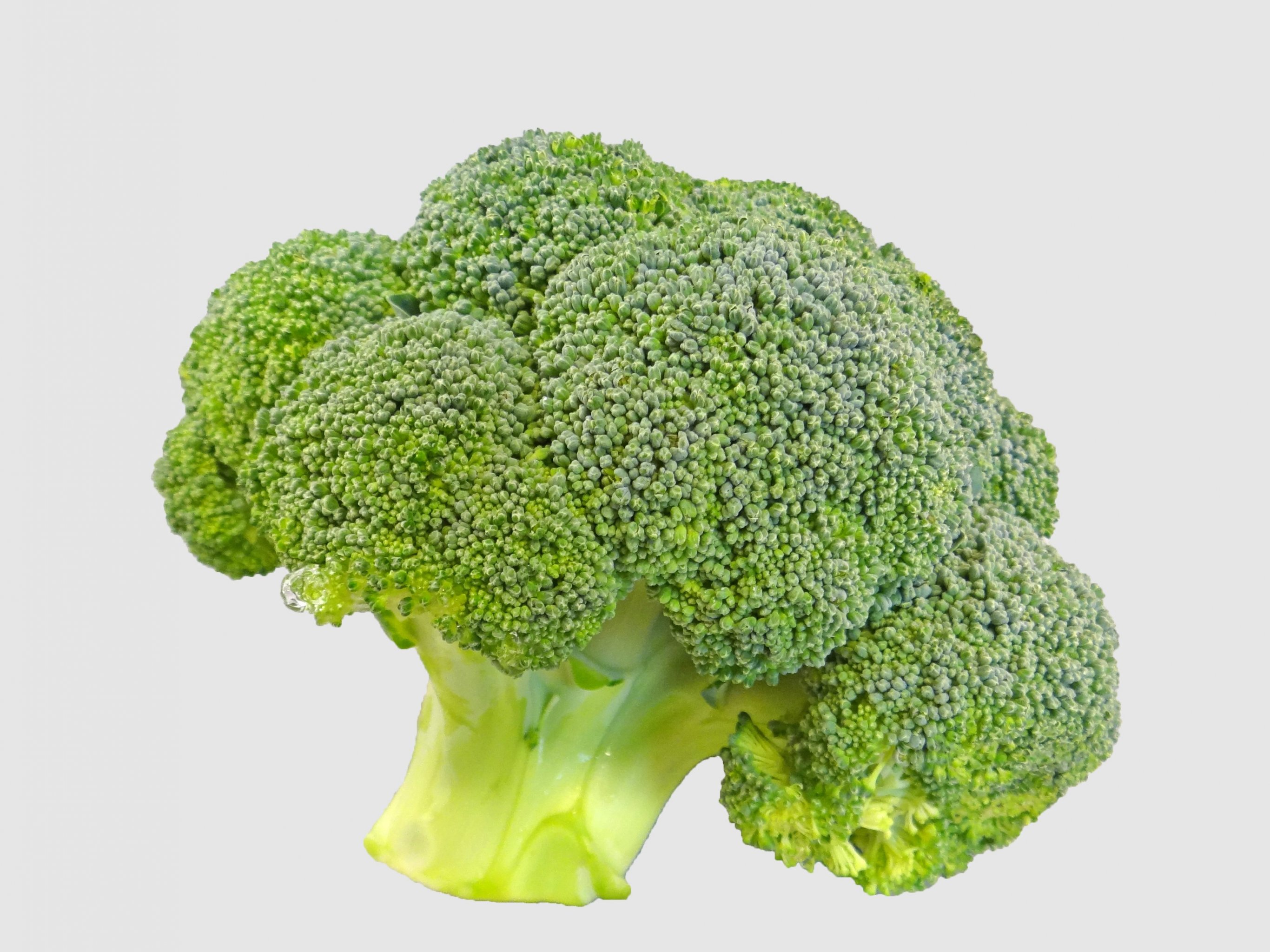Broccoli - Broccoli Floret Png , HD Wallpaper & Backgrounds