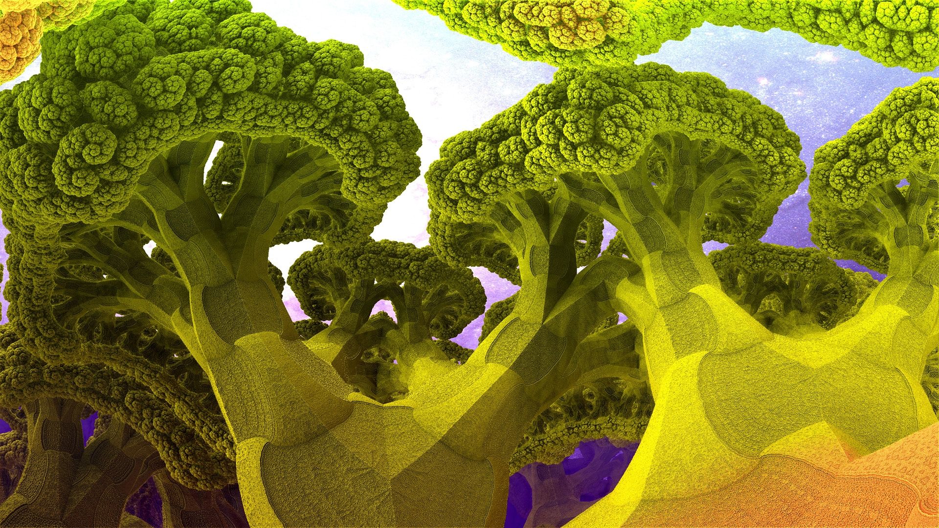 Broccoli Planet No2 Digital - Broccoli Planet Hd , HD Wallpaper & Backgrounds