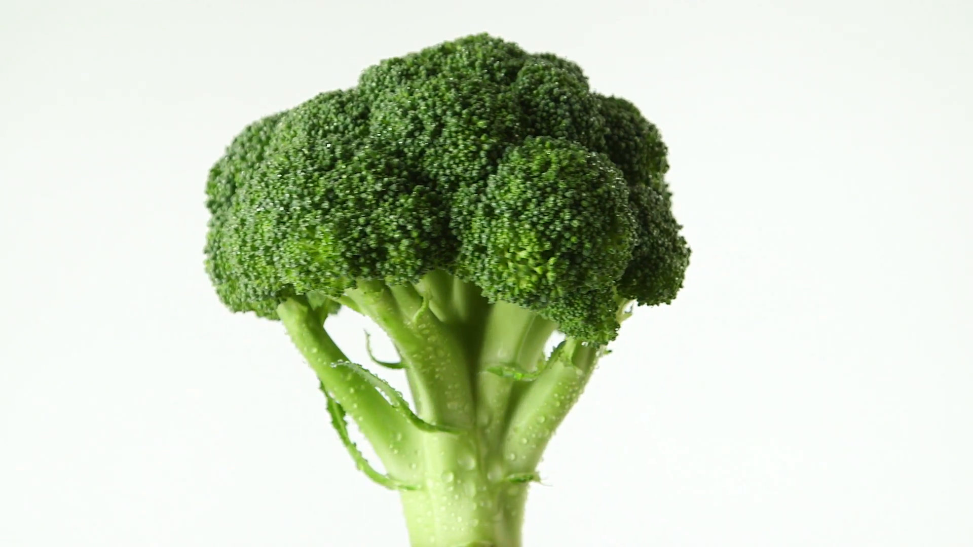 Broccoli , HD Wallpaper & Backgrounds